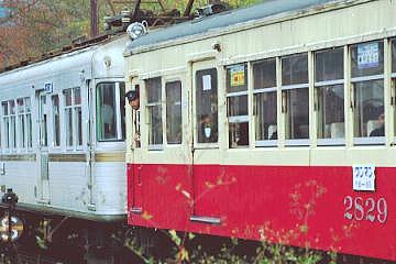 �u���炳���v�V