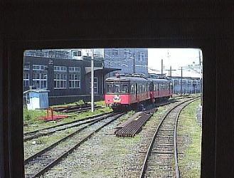 ���m���ɗ��u����Ă���f�n�V�O�P�`�̂Q���A��