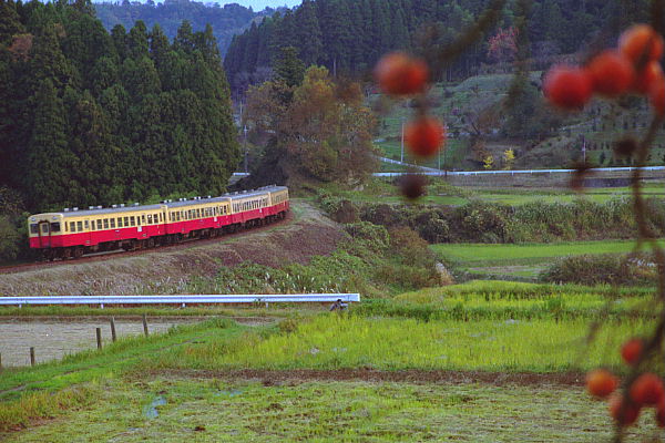 小湊鉄道209