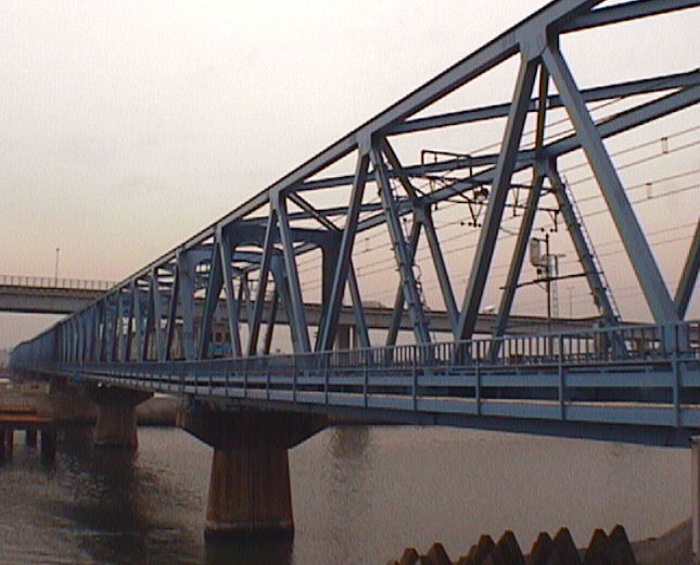 ����E�r��̓S���R